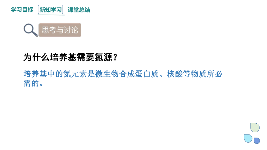 1.2 课时1 微生物的基本培养技术  课件(共30张PPT) 2023-2024学年高二生物人教版（2019）选择性必修3