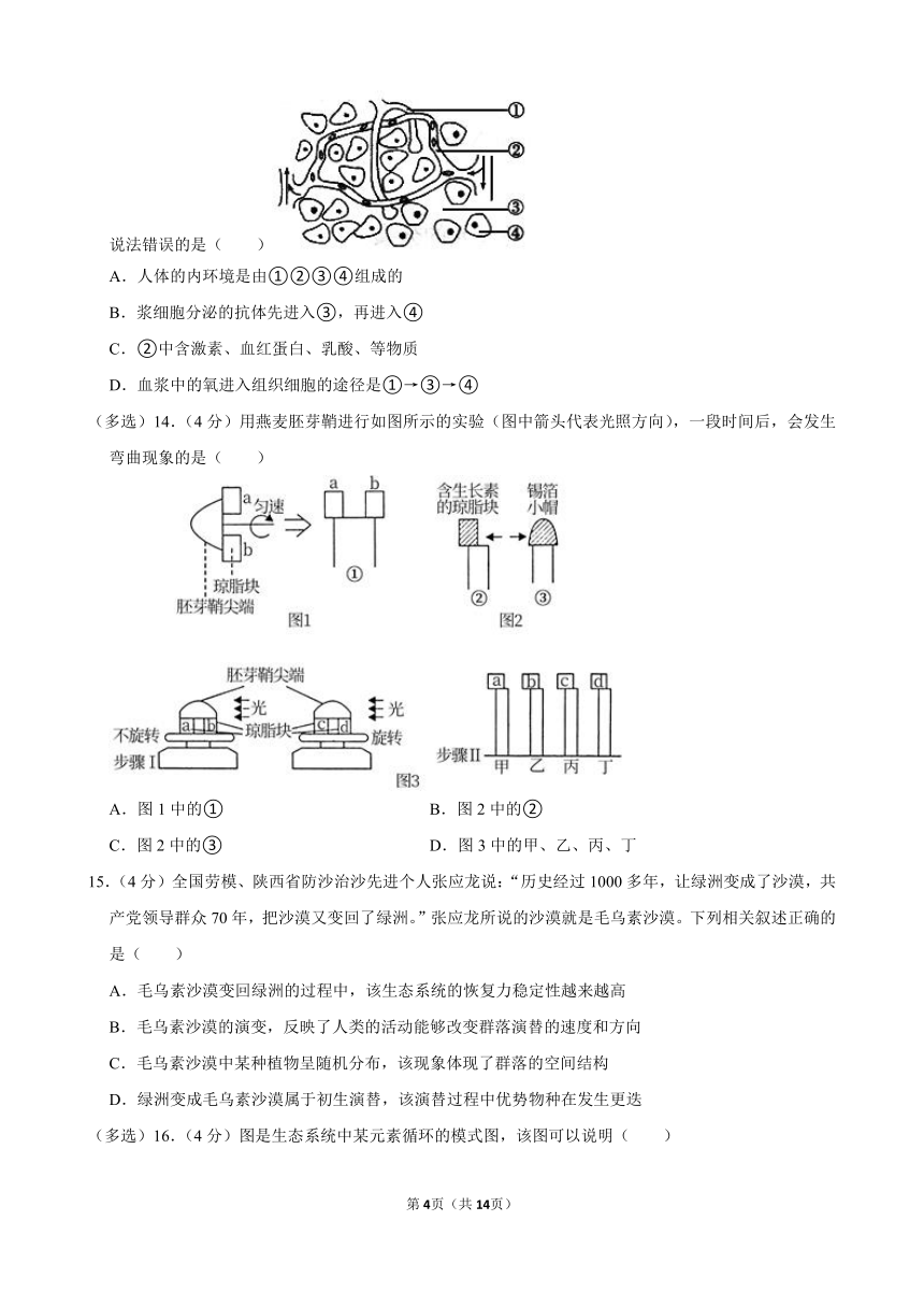 2023-2024学年湖南省张家界市高二（上）期末生物模拟试卷（含解析）