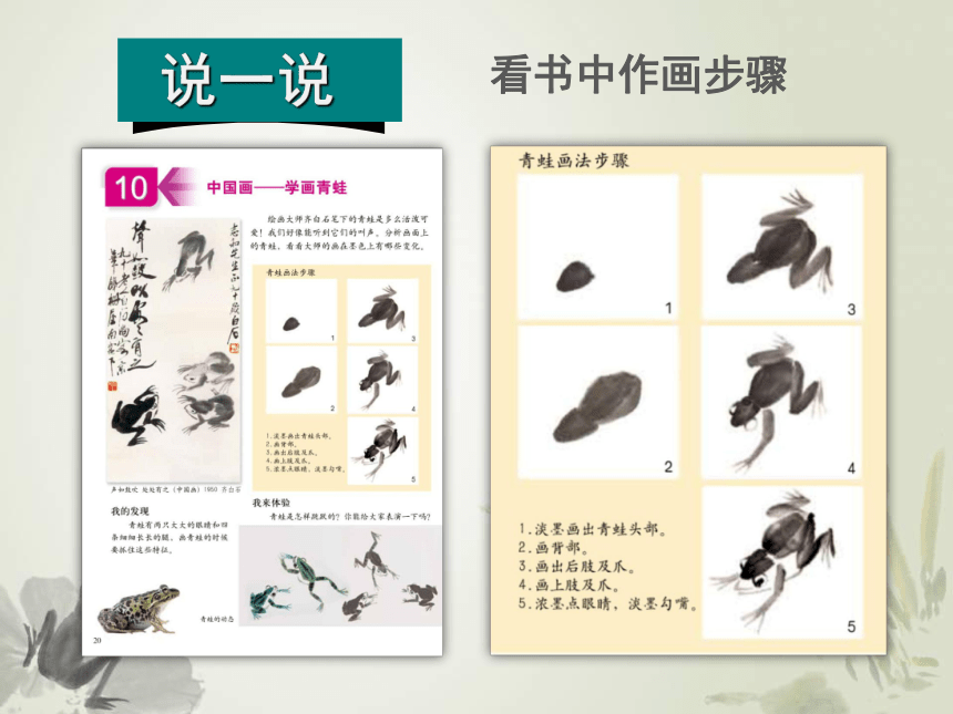 人美版（北京） 美术四年级上册10 学画中国画-青蛙 课件(共13张PPT)