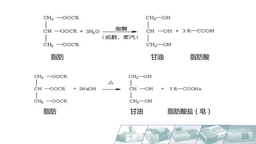 2.3脂肪及脂肪酸的性质 课件(共18张PPT)-《食品生物化学》同步教学（大连理工大学出版社）