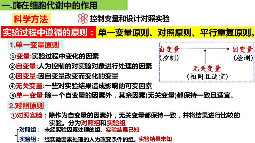 5.1降低化学反应活化能的酶课件(共28张PPT)2023-2024学年高一上学期生物人教版必修1