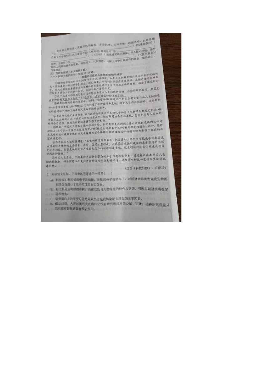 江西省赣州市赣县区2023-2024学年八年级上学期期末考试语文试题（图片版无答案）