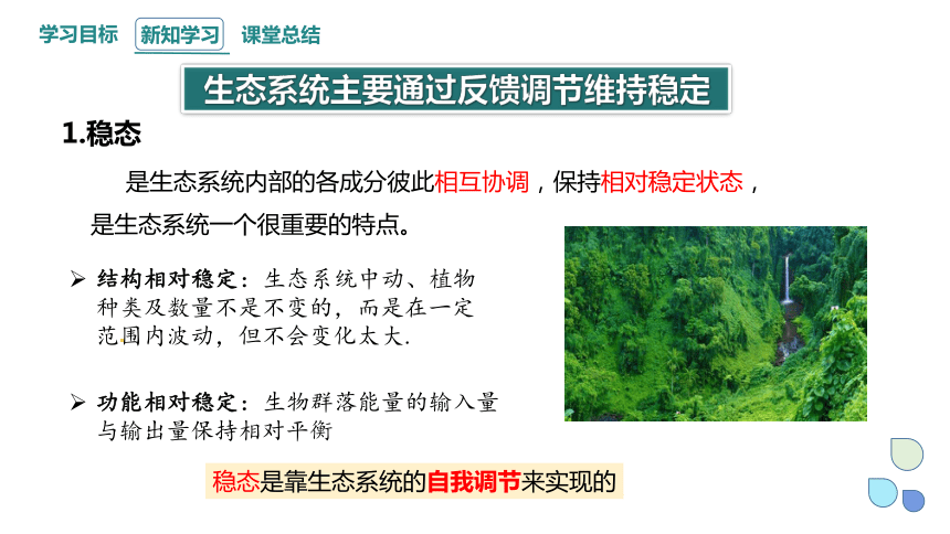 3.6 生态系统通过自我调节维持稳定 课件(共24张PPT) 2023-2024学年高二生物浙科版（2019）选择性必修2