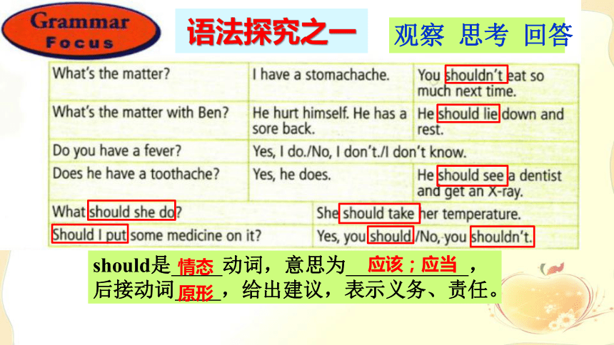 Unit 1Where did you go on vacation Section A Grammar Focus-4c 课件（共30张PPT）人教版八年级英语下册