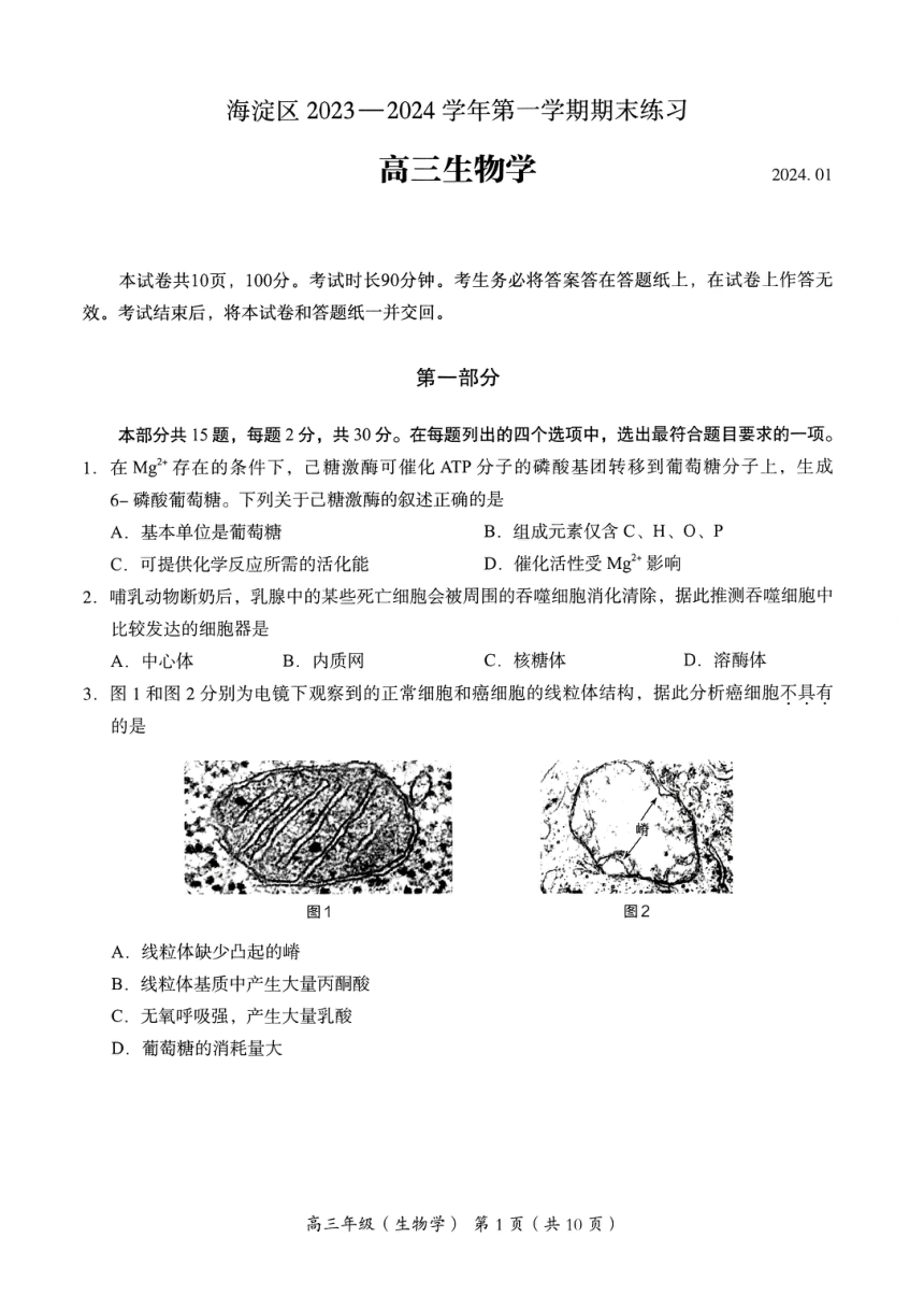 北京市海淀区2023~2024学年第一学期高三生物期末试卷（pdf无答案）