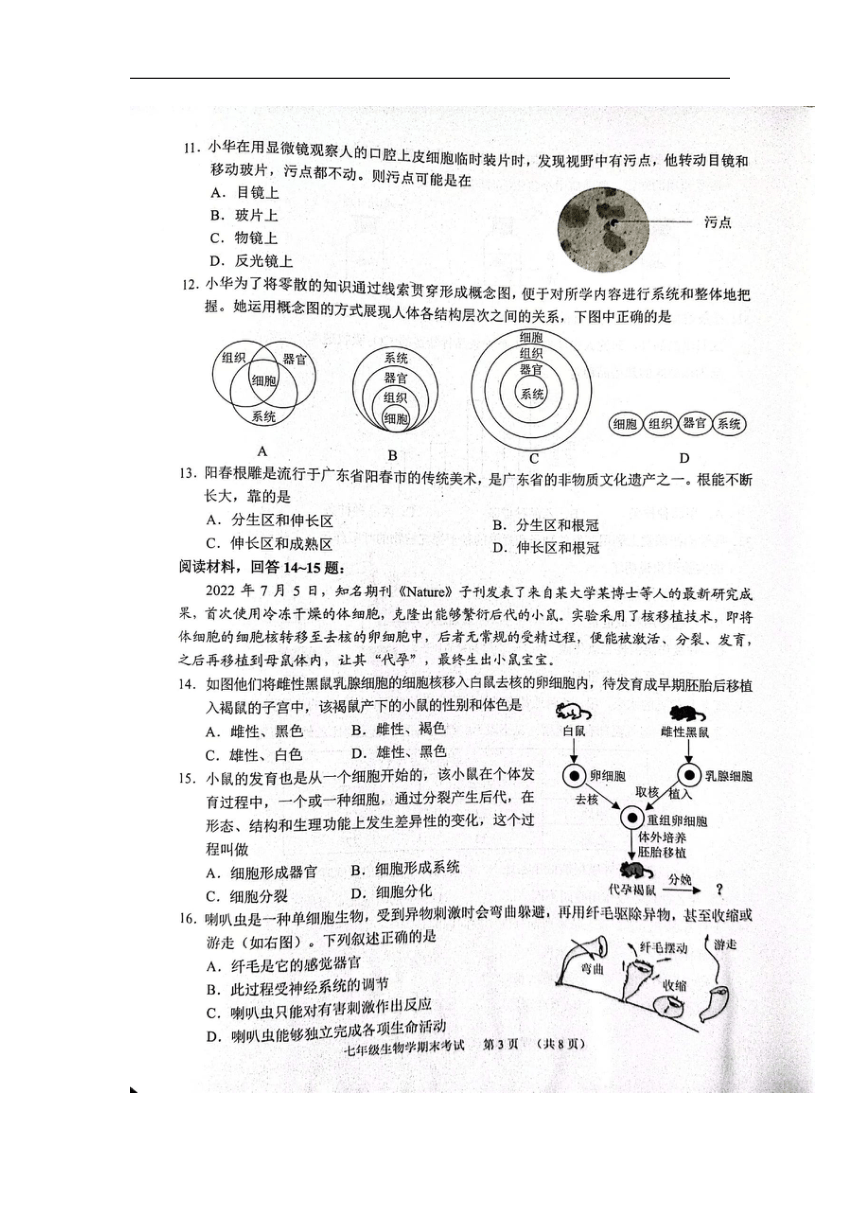 广东省广州市天河区2023-2024学年七年级上学期期末生物学试题（图片版无答案）