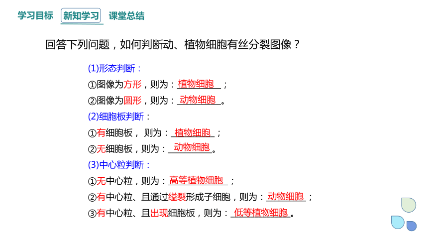 6.1.2 细胞的增殖 课件 (共22张PPT)2023-2024学年高一生物人教版（2019）必修1