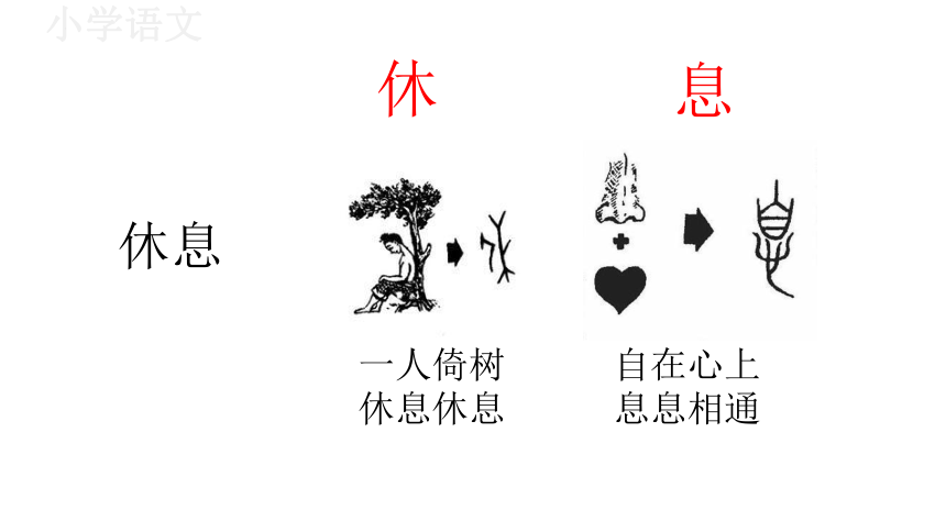 4邓小平爷爷植树 课件(共37张PPT)