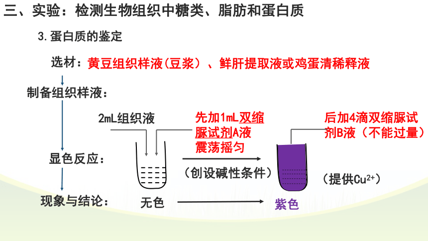 2.1细胞中的元素和化合物课件（第2课时）课件(共20张PPT)-人教版（2019）必修1