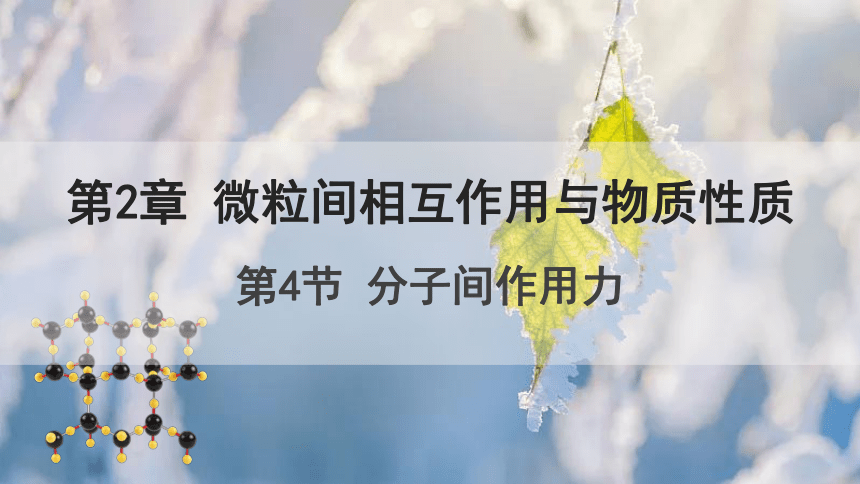 2.4 分子间作用力 课件 （共22页）2023-2024学年高二化学鲁科版（2019）选择性必修2