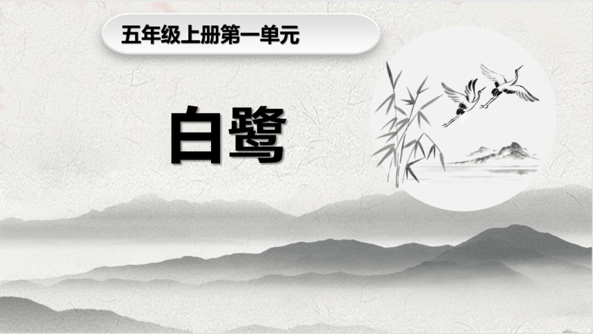 1《白鹭》课件(共29张PPT)