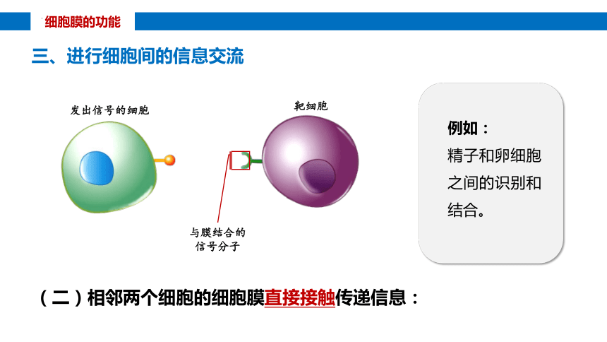 3.1细胞膜的结构和功能课件(共32张PPT)-人教版（2019）必修1