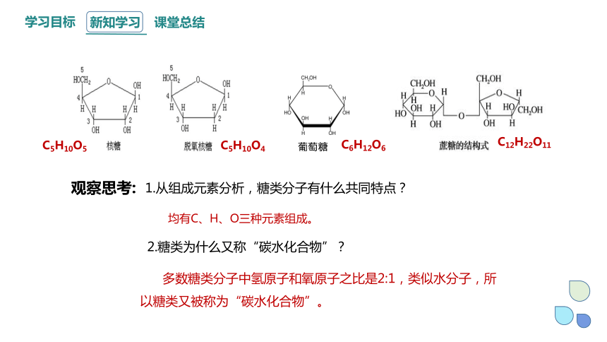 2.3 细胞中的糖类和脂质 课件 (共26张PPT)2023-2024学年高一生物人教版（2019）必修1