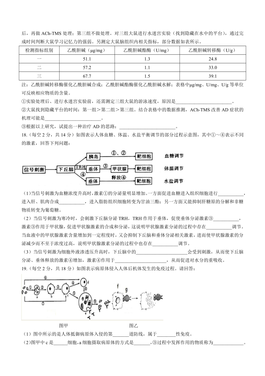 安徽省阜阳市临泉县一中（高铁分校）2023-2024学年高二上学期1月第三次月考（期末考试）生物学试题（含答案）（含答案）