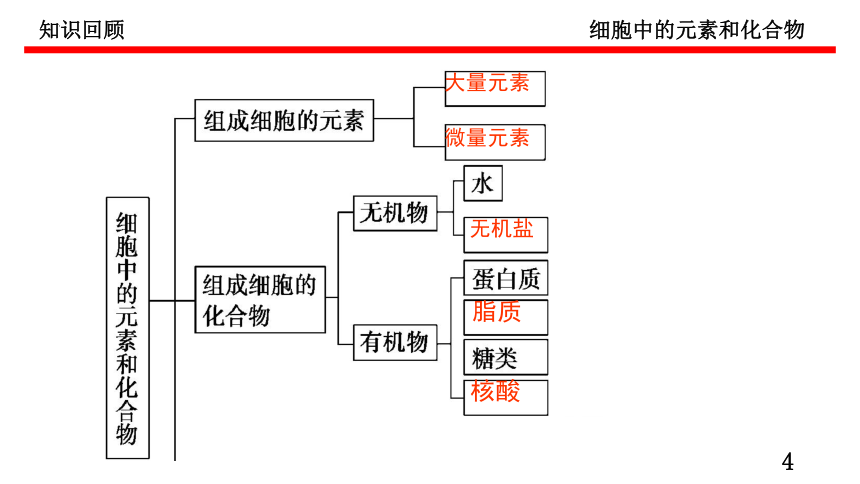 2.2细胞中的无机物课件-(共48张PPT1份视频)课件人教版（2019）必修1