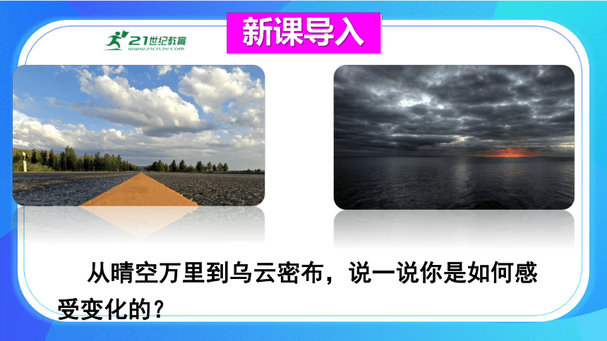 4.6.1 人体对外界环境的感知 课件 人教版生物七年级下册(共41张PPT)