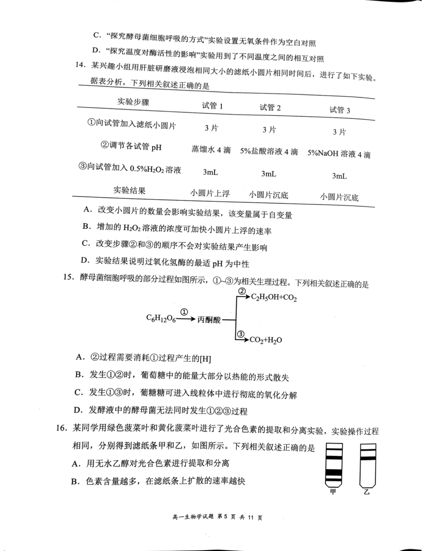 广东省深圳市龙岗区2023-2024学年高一上学期1月期末生物试题（PDF无答案）