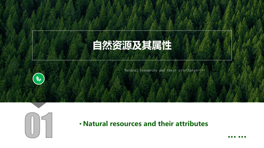 1.2 自然资源及其利用（课件）-高二地理（人教版2019选择性必修3）（64张）