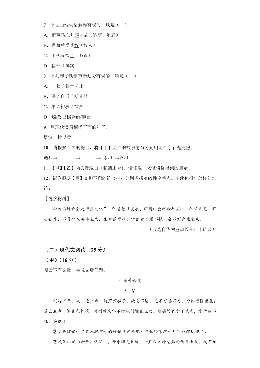 吉林省吉林市永吉县2023-2024学年七年级上学期期末 语文试题（含解析）