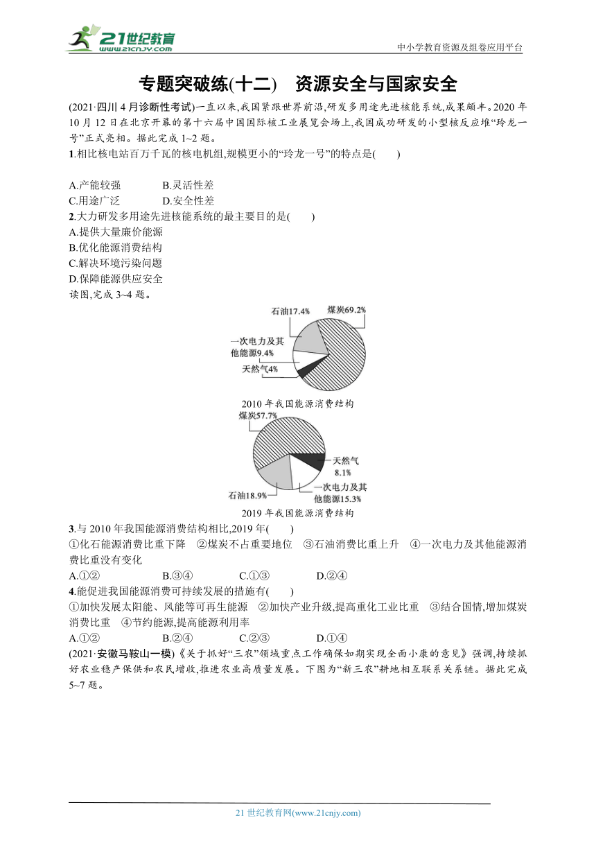 专题突破练(十二)　资源安全与国家安全