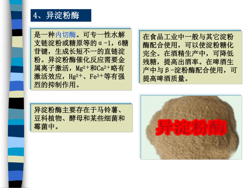 4.3 酶在食品加工中的应用 课件(共28张PPT)-《食品生物化学》同步教学（大连理工大学出版社）