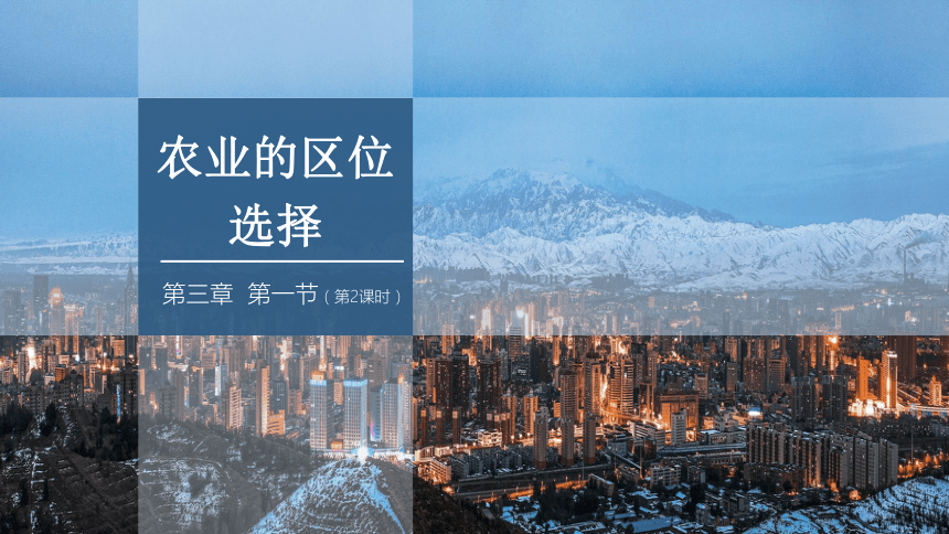 3.1.2 农业的区位选择    课件 2023-2024学年高一地理鲁教版（2019）必修第二册（21张）