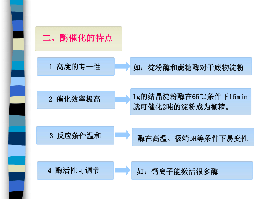 4.1.2 酶的基本特征 课件(共40张PPT)-《食品生物化学》同步教学（大连理工大学出版社）