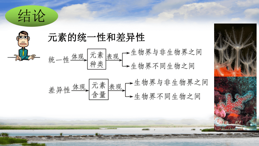 2.1细胞中的元素和化合物课件 (共53张PPT3份视频)人教版2019必修1