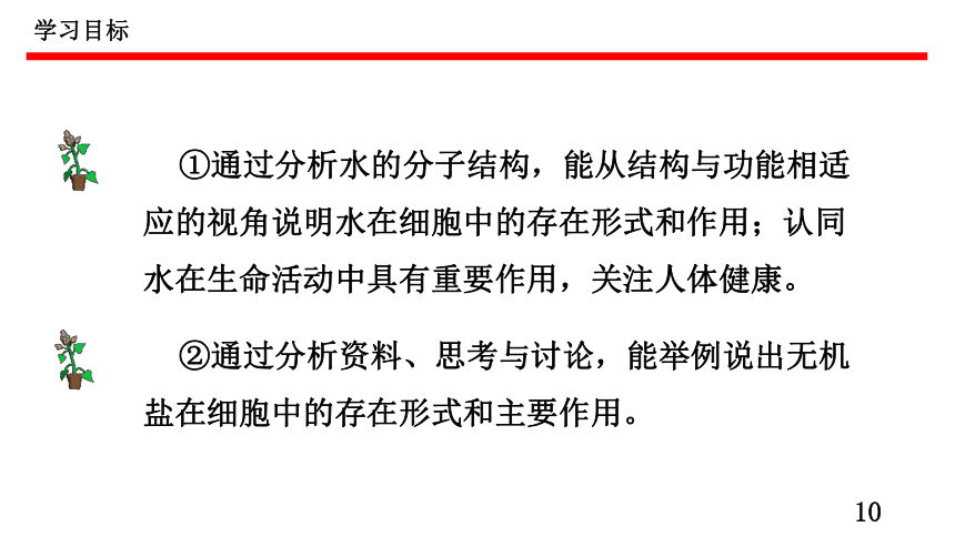 2.2细胞中的无机物课件-(共48张PPT1份视频)课件人教版（2019）必修1