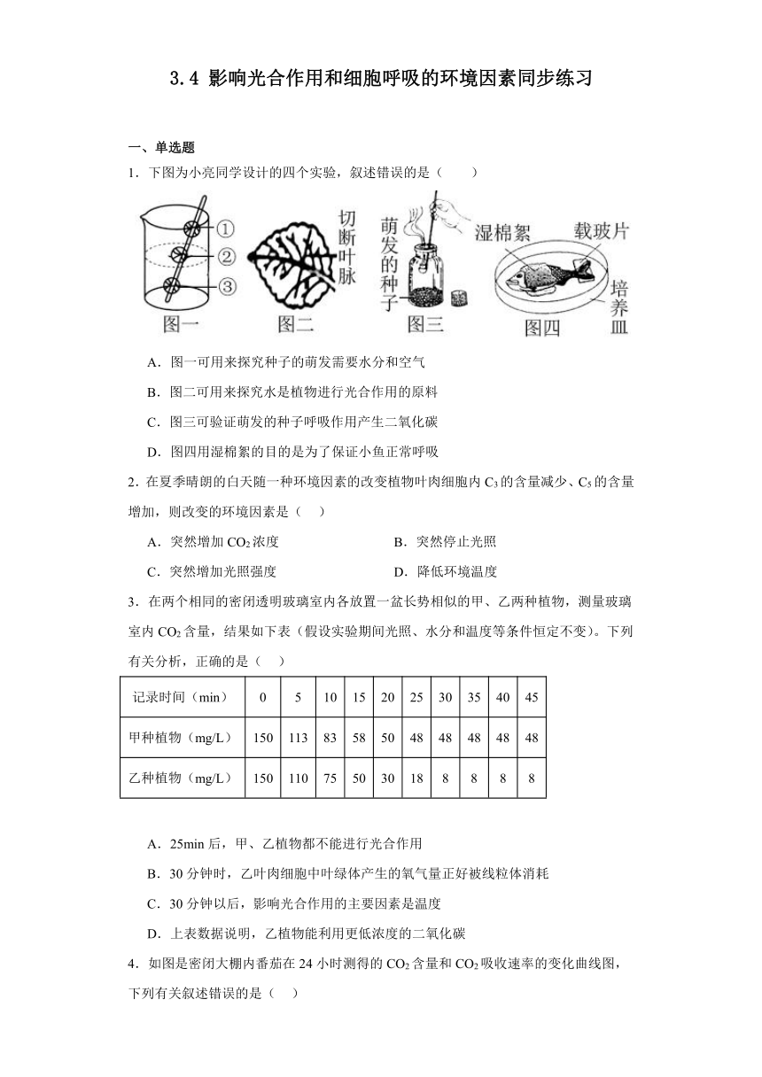 3.4影响光合作用和细胞呼吸的环境因素同步练习2023-2024学年高一上学期生物苏教版必修1（含解析）