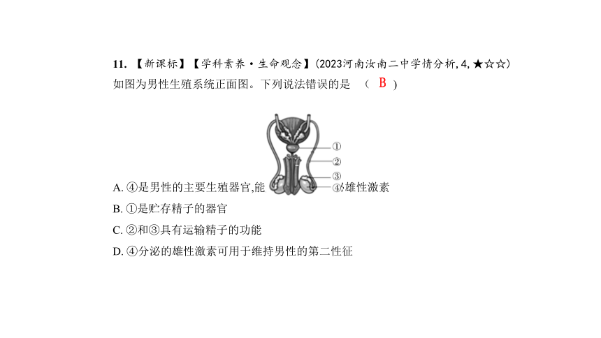 4.1人的由来习题课件(共35张PPT)人教版七年级下册