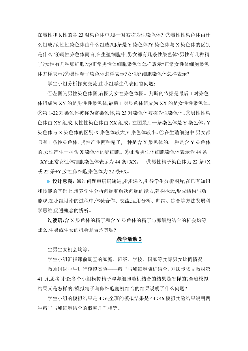 7.2.4 人的性别遗传教案人教版八年级下册