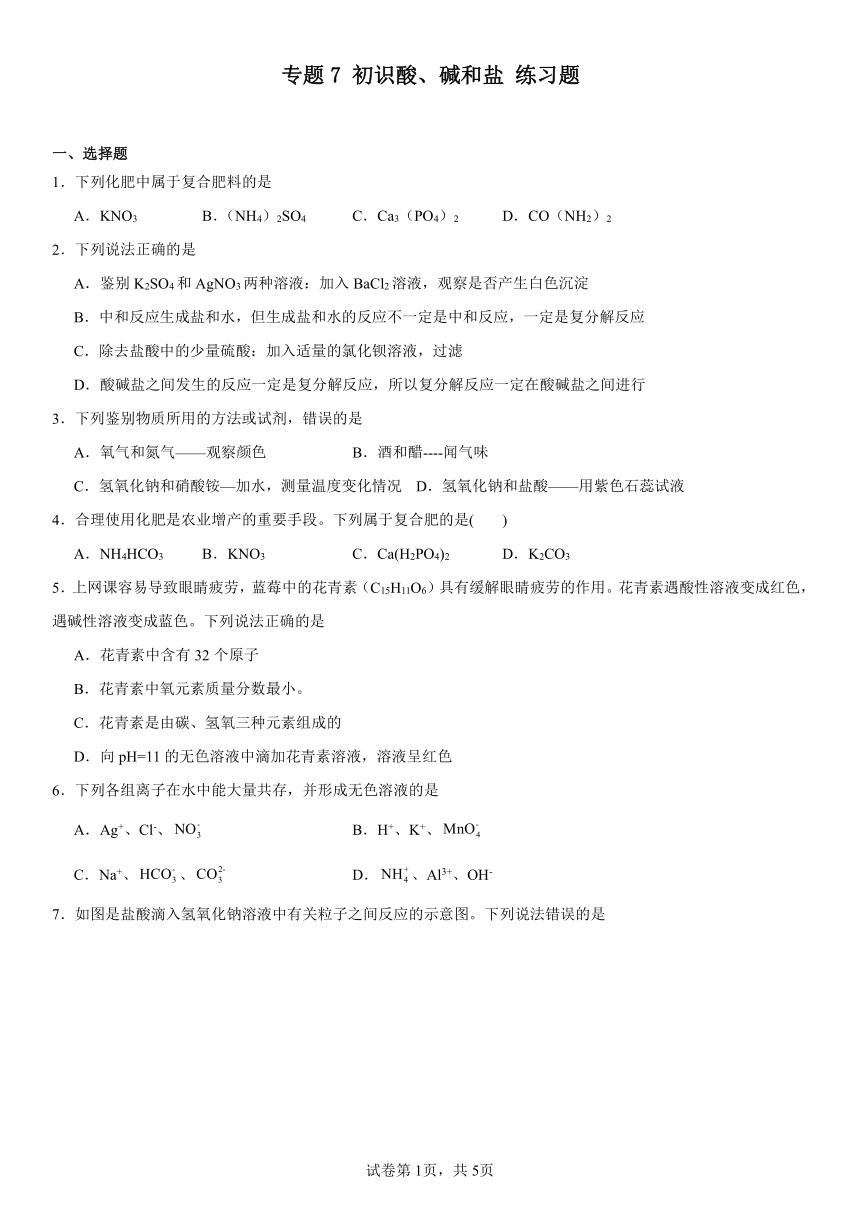 专题7初识酸、碱和盐练习题（含解析）　2023-2024学年九年级化学仁爱版下册