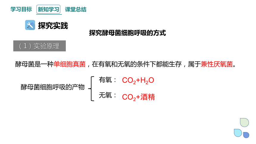 5.3.1 细胞呼吸的原理和应用 课件(共22张PPT1份视频) 2023-2024学年高一生物人教版（2019）必修1