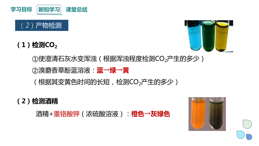 5.3.1 细胞呼吸的原理和应用 课件(共22张PPT1份视频) 2023-2024学年高一生物人教版（2019）必修1