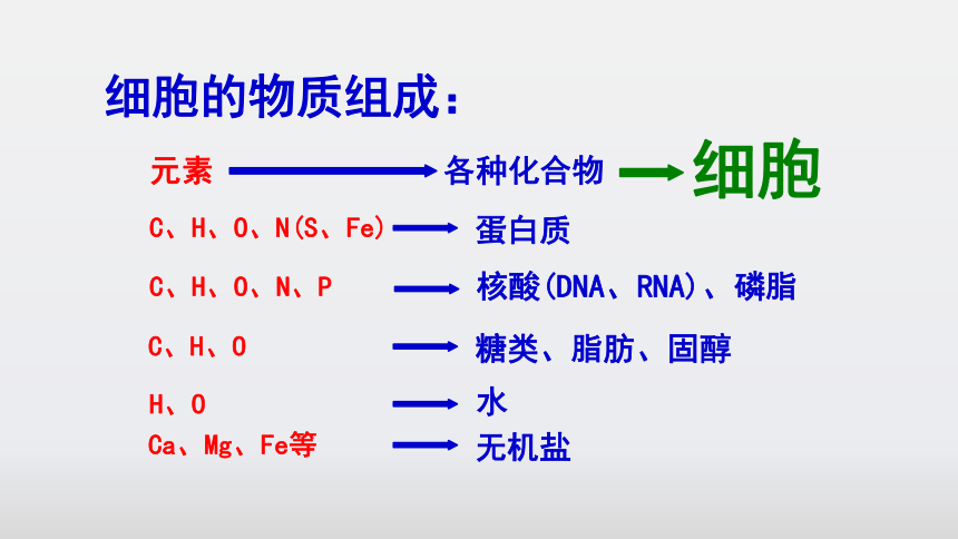 3.1 细胞膜的结构和功能（第1课时）(共23张PPT)课件高一生物（人教版2019必修1）