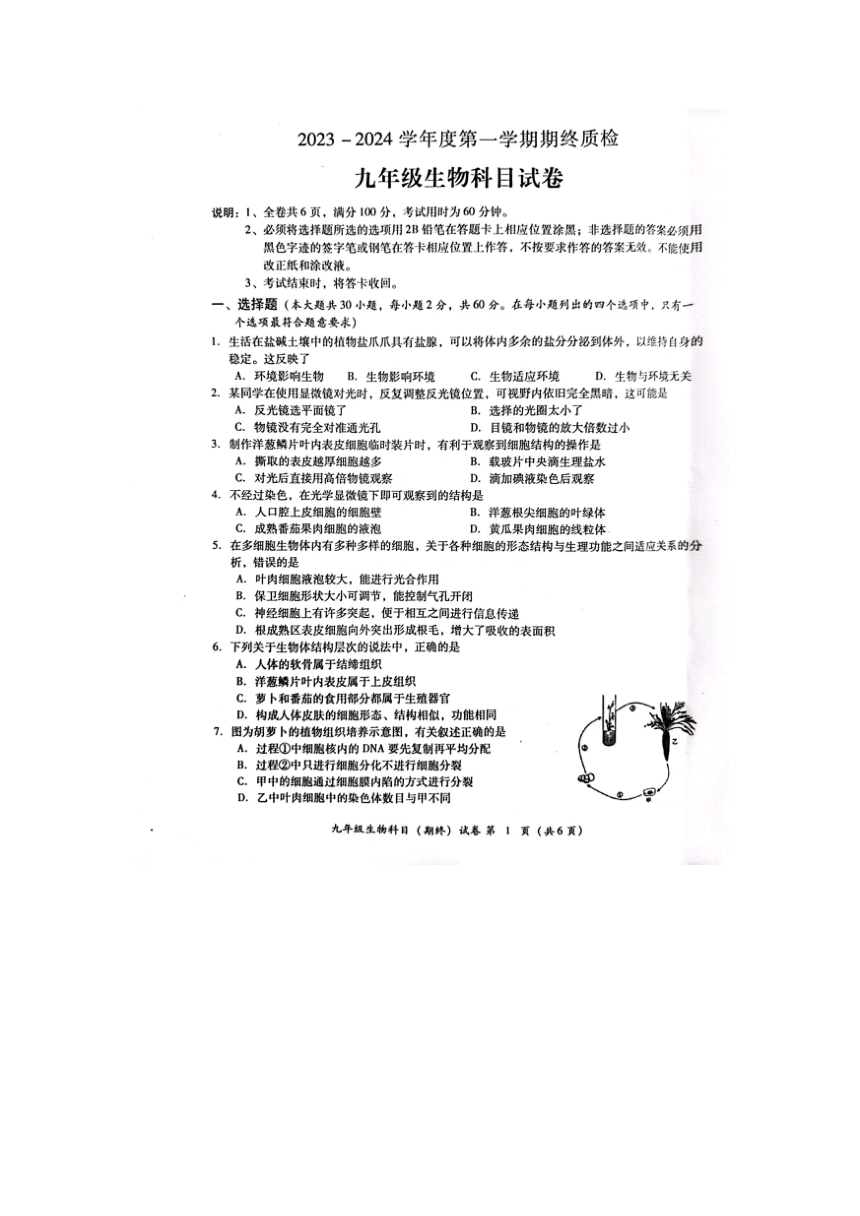 广东省揭阳市榕城区2023-2024学年九年级上学期期末考试生物试题（PDF版含答案）