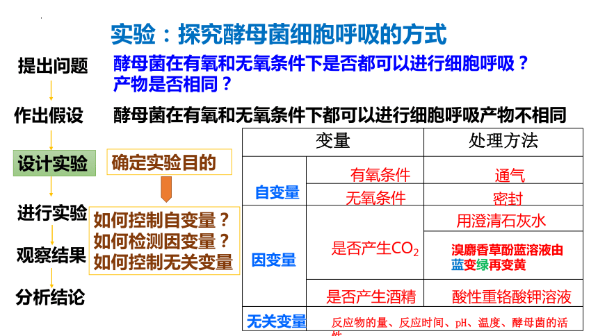 5.3 细胞呼吸的原理和应用（第1课时）(共22张PPT4份视频)高一生物课件（人教版2019必修1）