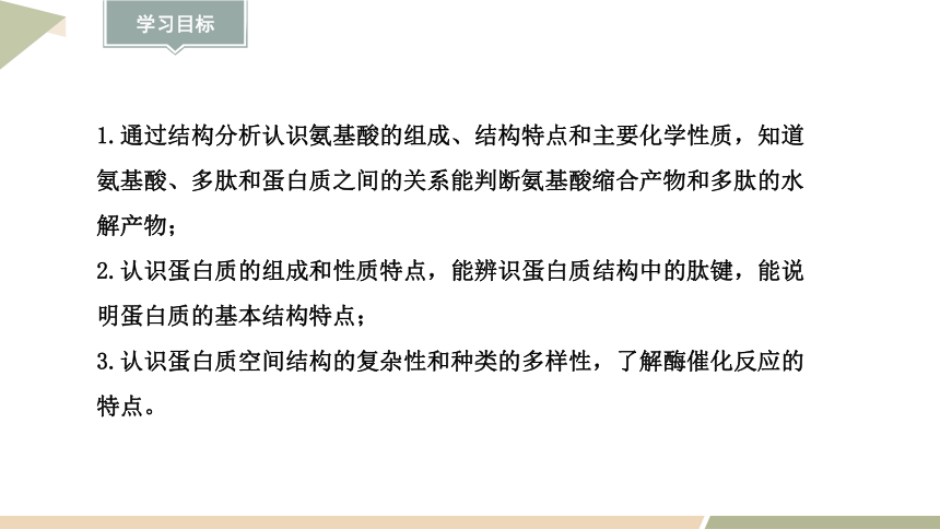 4.2 蛋白质  课件（共23张PPT） 2023-2024学年高二化学人教版（2019）选择性必修3