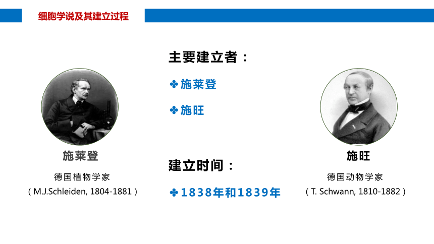 1.1细胞是生命活动的基本单位课件（共29张PPT） 生物人教版必修1