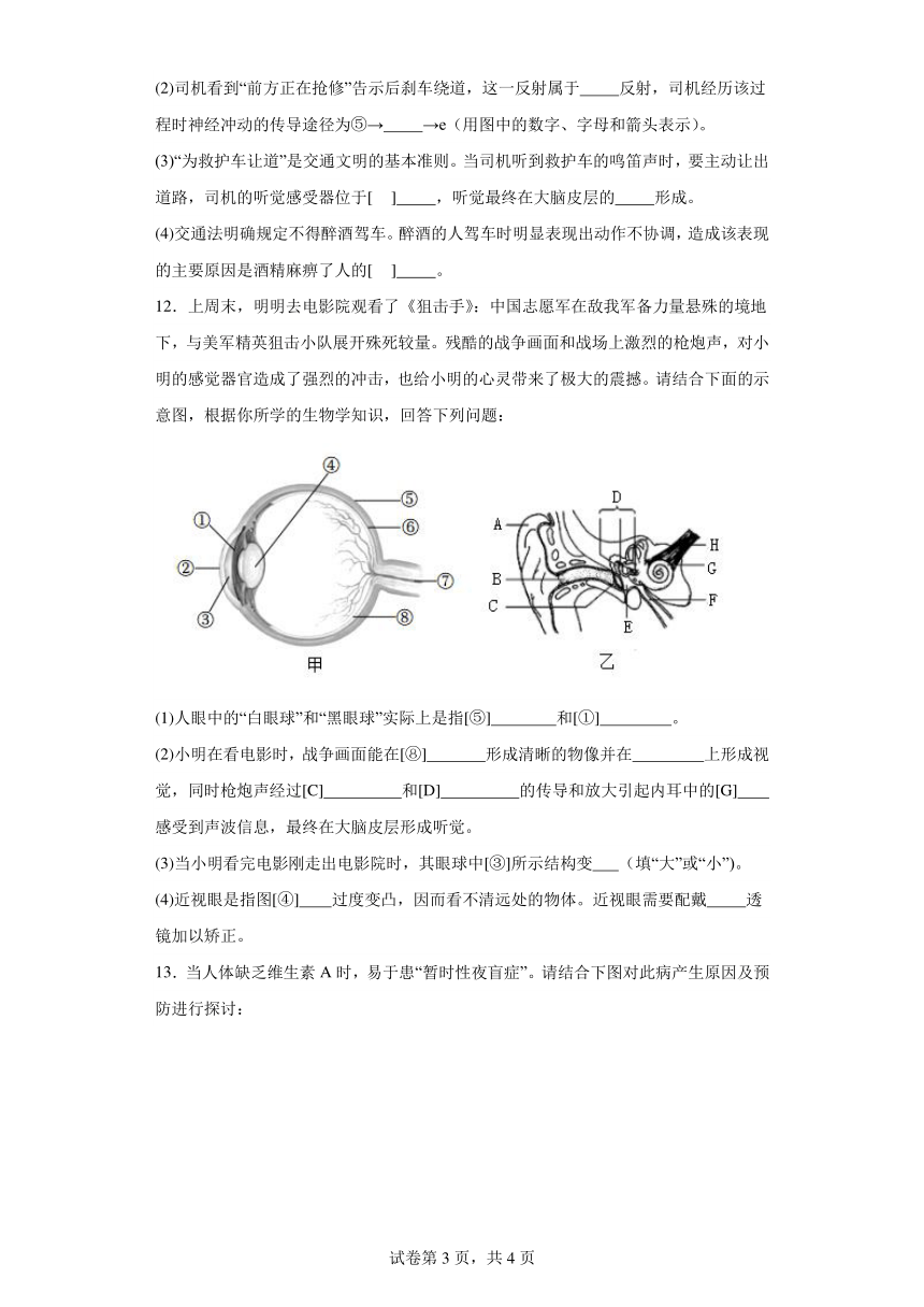 4.6.1人体对外界环境的感知 分层作业 七年级生物下册人教版（含解析）