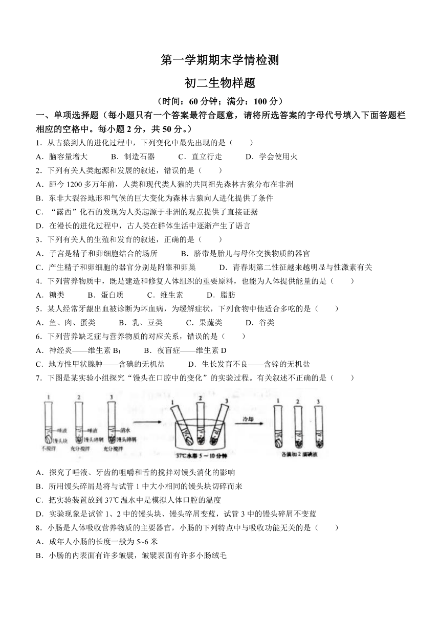 山东省泰安市泰山区2023-2024学年七年级上学期期末生物试卷 (word版 含答案）