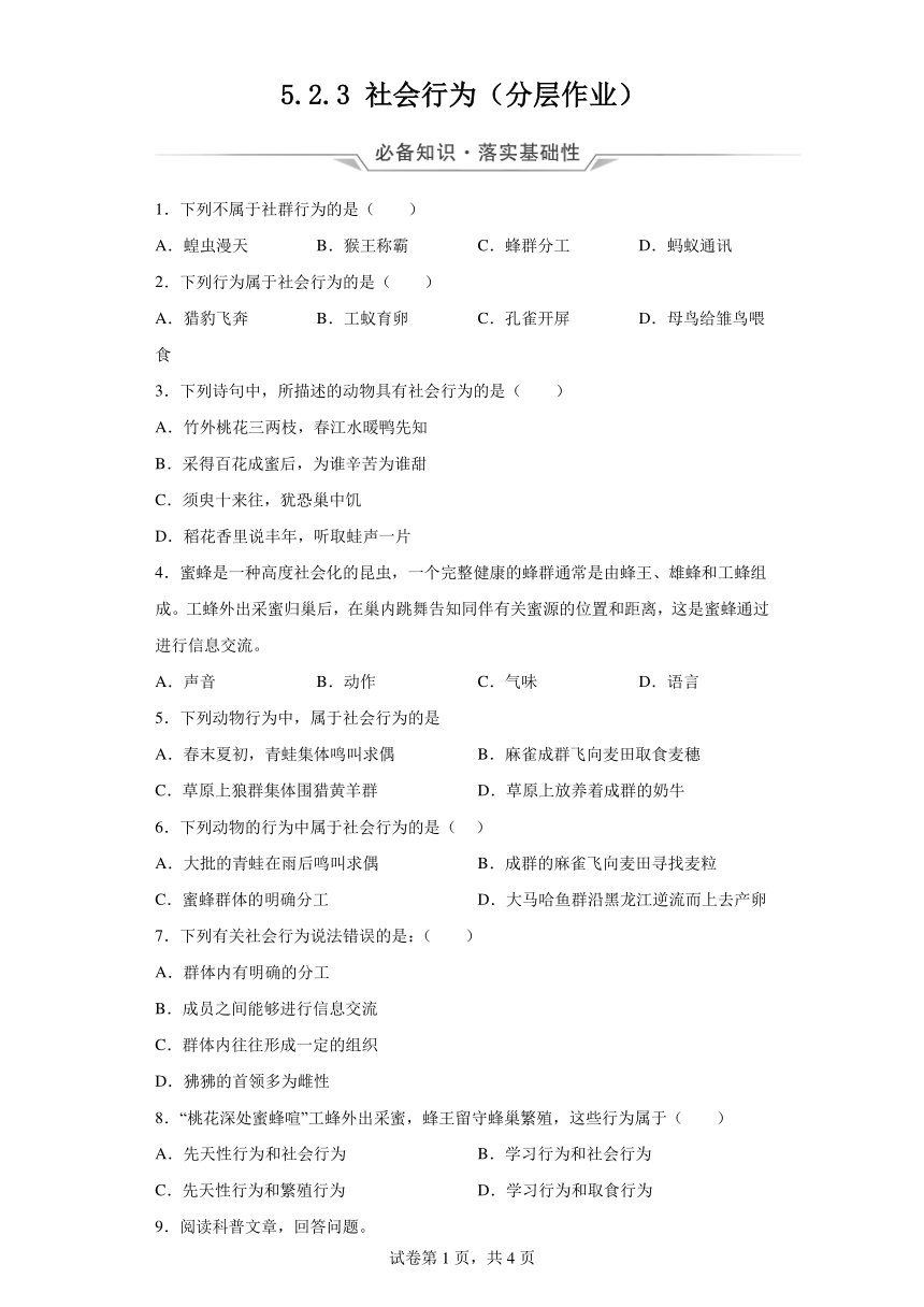 5.2.3社会行为 分层作业 （含解析）八年级上册生物人教版