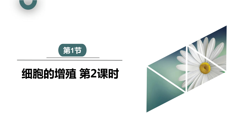 6.1.2 细胞的增殖 课件 (共22张PPT)2023-2024学年高一生物人教版（2019）必修1