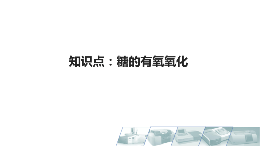 8.4糖的有氧氧化 课件(共17张PPT)-《食品生物化学》同步教学（大连理工大学出版社）