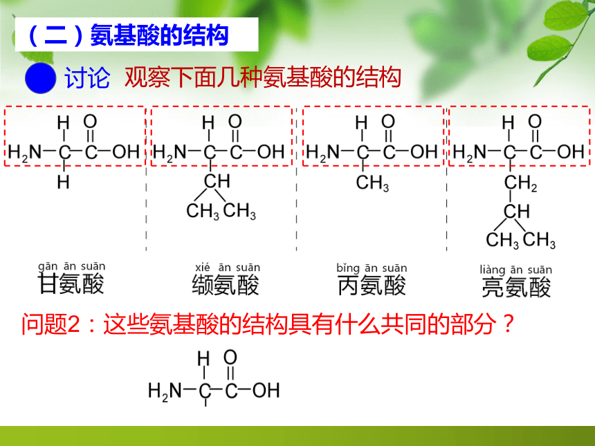 2.4蛋白质是生命活动的主要承担者课件（共43张PPT） 生物人教版必修1