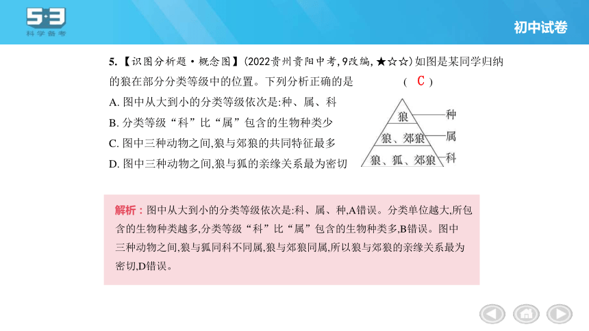 第6单元 生物的多样性及其保护习题课件(共34张PPT)人教版八年级上册