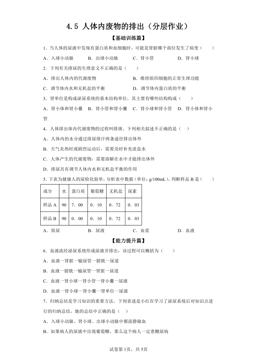 4.5人体内废物的排出 分层作业 七年级生物下册人教版（含解析）