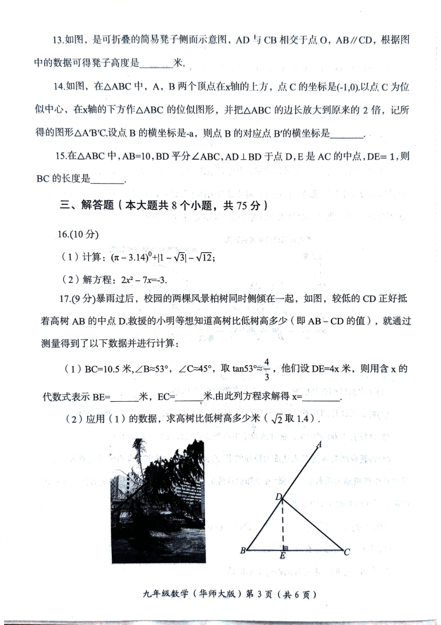 河南省洛阳市2023-2024学年九年级上学期1月期末数学试题(图片版无答案)