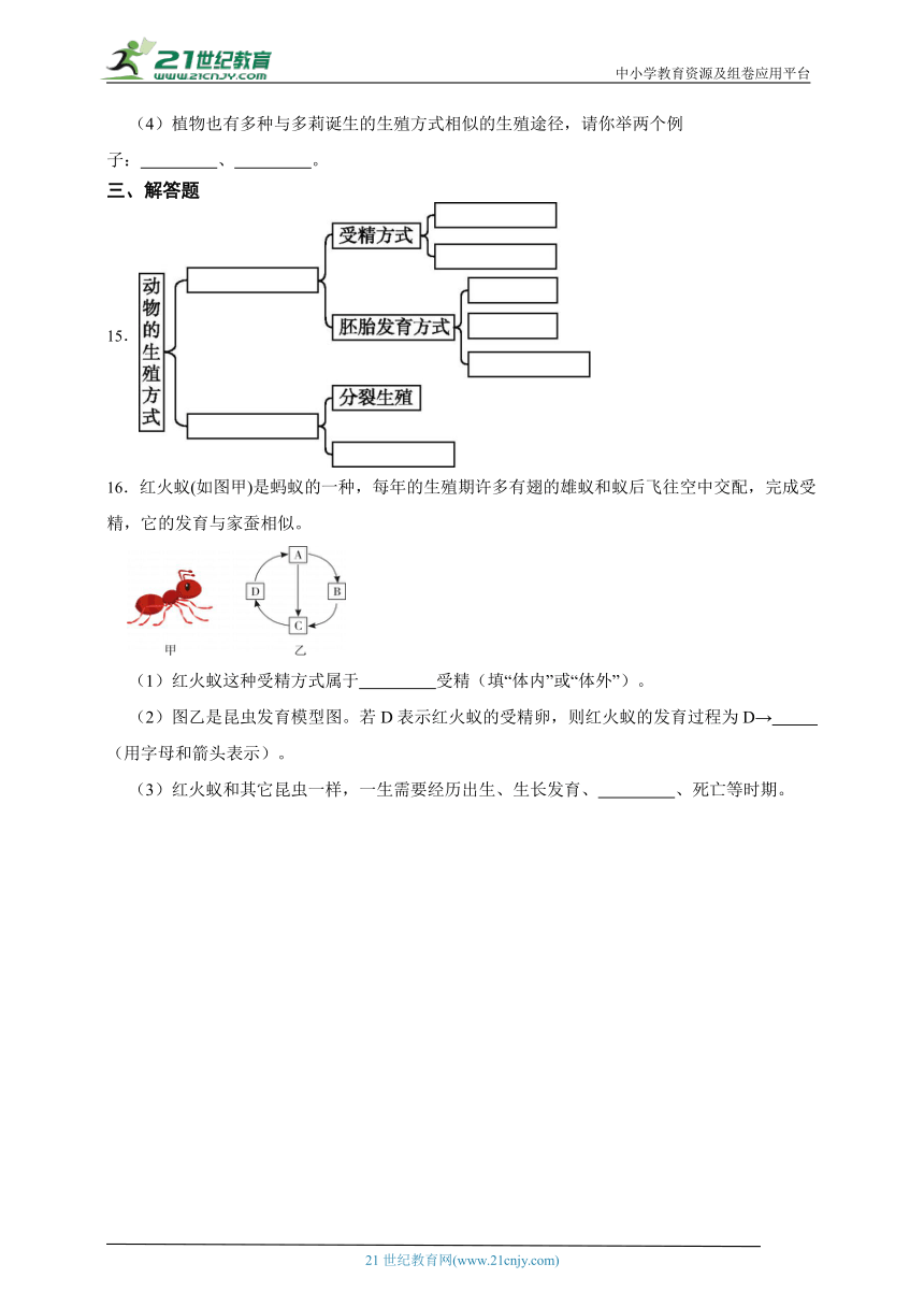 [寒假专练]浙教版科学七年级寒假预习专题：动物的生长（含答案）